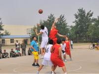 谢菲联VS考文垂高清无插件视频直播在线观看