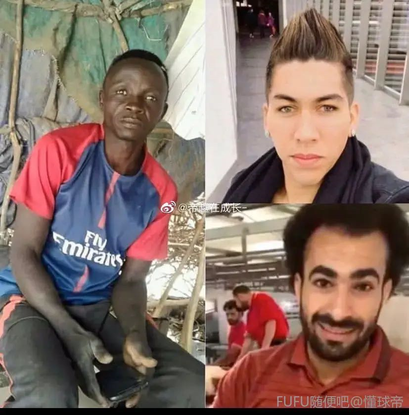 墨尔本城市简介