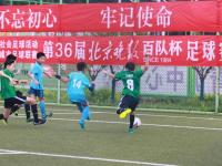 试驾狂魔的主页