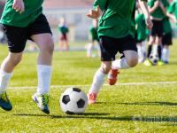 霍尼韦尔Honeywell1900GHD 二维码扫描枪