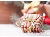 仙人指路：意甲 都灵